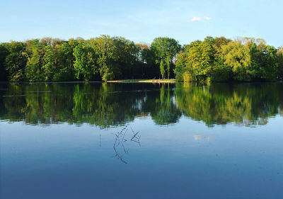 Reflection of trees in water