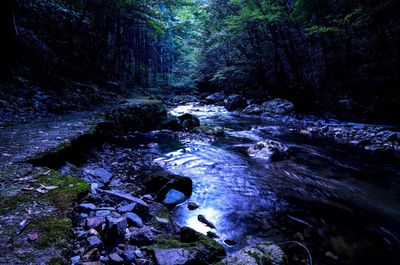 River flowing through rocks in forest