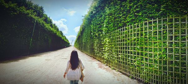 Rear view of woman walking on street amidst trees against sky