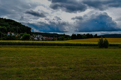 Scenic view of field against sky