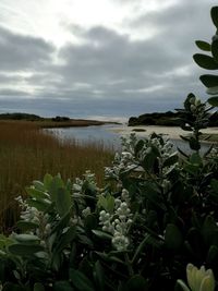 Scenic view of lake against sky