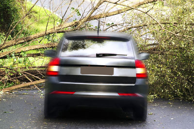 View of car on road