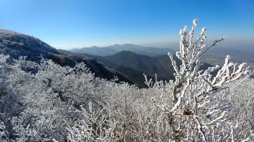 Scenic view of snow covered mountains against clear blue sky