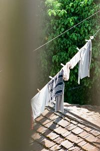 Clothes drying on clothesline