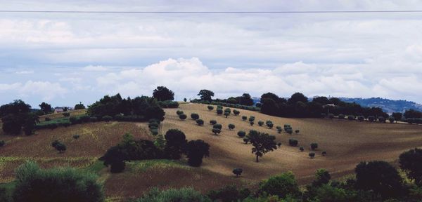 Scenic view of field against cloudy sky