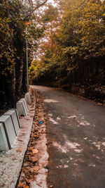 Footpath amidst trees in forest during autumn