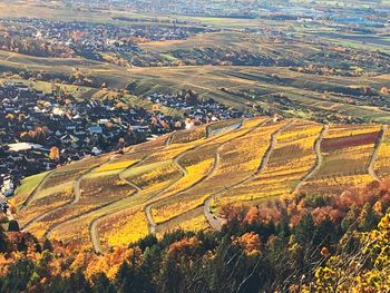 High angle view of agricultural field