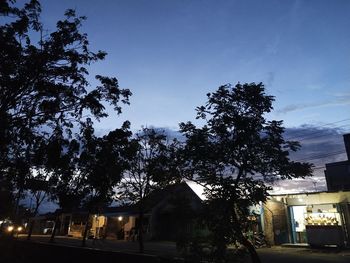 Low angle view of trees by illuminated building against sky at night