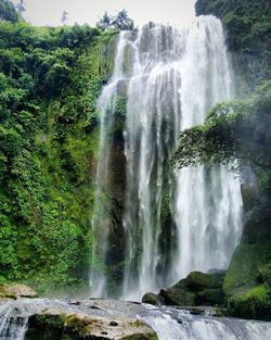 Scenic view of waterfall in forest