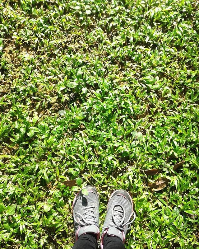 low section, person, personal perspective, shoe, grass, standing, human foot, green color, lifestyles, high angle view, growth, field, footwear, unrecognizable person, men, grassy, leisure activity