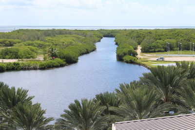 High angle view of trees by sea against sky