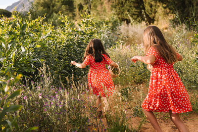 Back view of little girls wearing similar red dress carrying basket and walking on green meadow in summer day