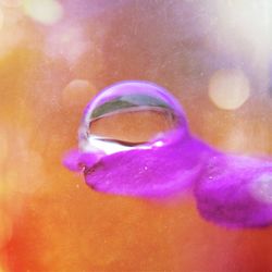 Close-up of bubbles in water