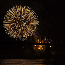 Firework display at night