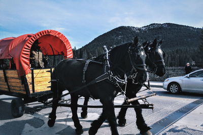 Cars on road against sky