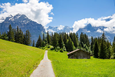 Panoramic shot of land and trees against sky