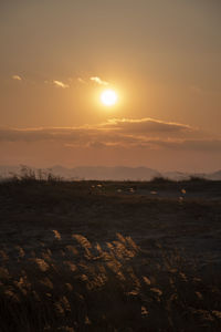 Scenic view of field against sky during sunset