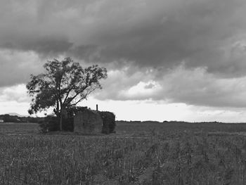 Scenic view of field against sky