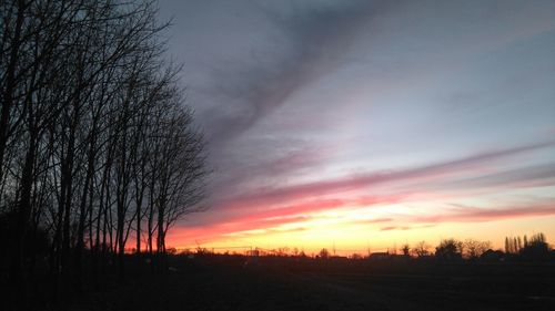 Silhouette trees on landscape against sky at sunset