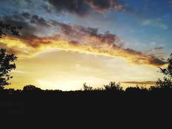 Silhouette plants against dramatic sky during sunset