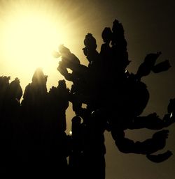 Low angle view of silhouette trees against sky at sunset