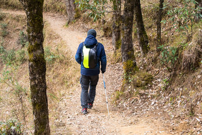 Rear view of man walking on footpath in forest