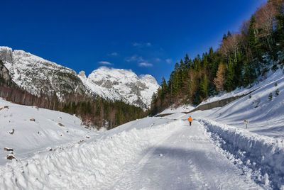 Person on a snowy path. nature, landscape. winter, mountains.