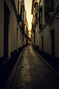 Narrow alley along buildings