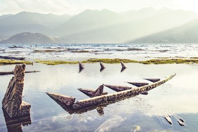 Driftwood floating in lake against sky