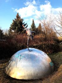 Bare trees on field against sky