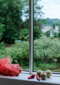 Close-up of fruits on table against window