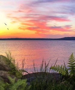 Scenic view of sea against sky during sunset