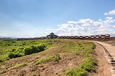 Plants growing on land against sky