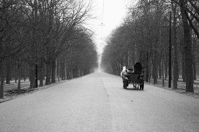 Road passing through trees