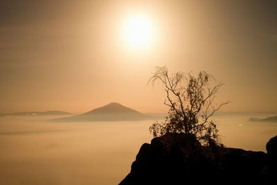 The island with tree. full moon night in a beautiful mountain. sandstone peaks and hills in darkness