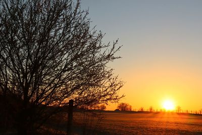 Silhouette bare trees on field against sky during sunset