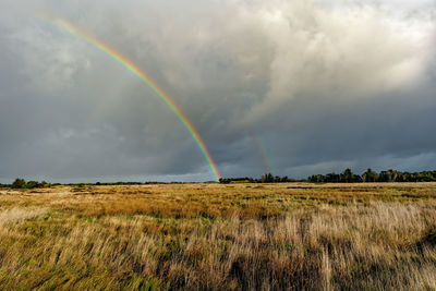 Scenic view of rainbow over field against sky