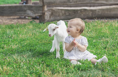 Portrait of dog on grassy field