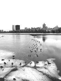 Scenic view of river by city against clear sky