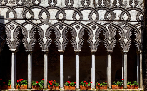 View of flowering plants on railing of building