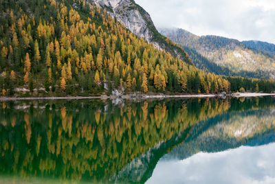 Autumn trees reflecting on calm lake
