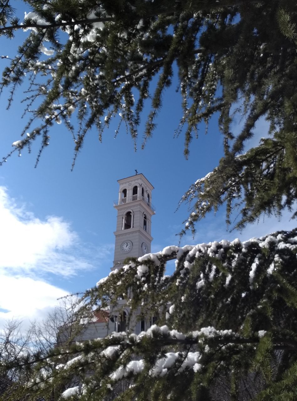 LOW ANGLE VIEW OF CHURCH AND TREES AGAINST SKY