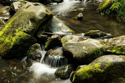 Close-up of waterfall amidst trees