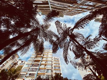 Low angle view of trees against sky