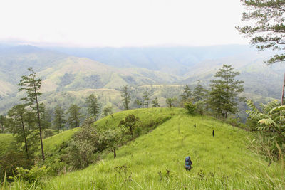 Scenic view of landscape and mountains