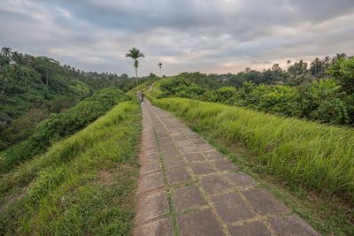 Walkway amidst grass against sky