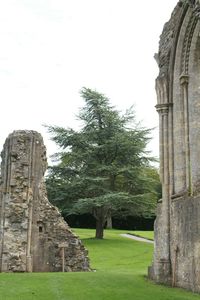Ruins of old ruins