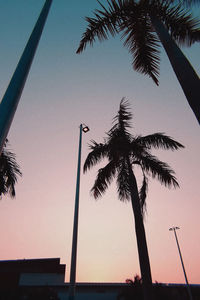 Low angle view of silhouette palm trees against sky during sunset