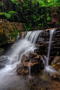 Scenic view of waterfall in forest