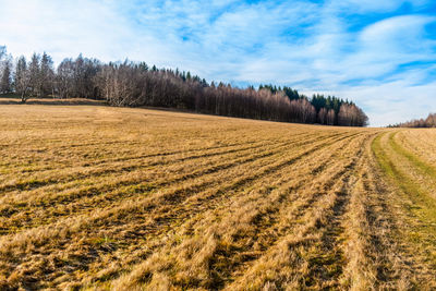 Scenic view of agricultural field against sky